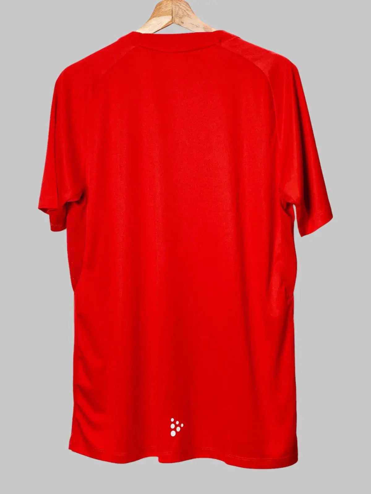 Almere City Special Warming up Shirt (L)