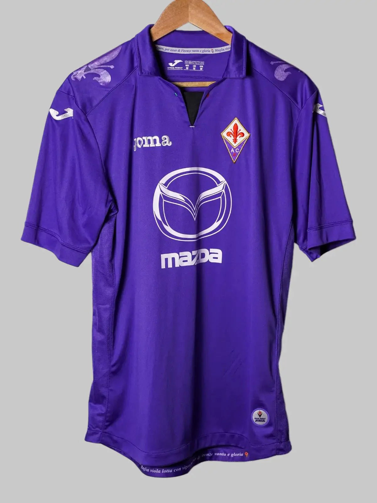 ACF Fiorentina Home Shirt 2013/14 (M)