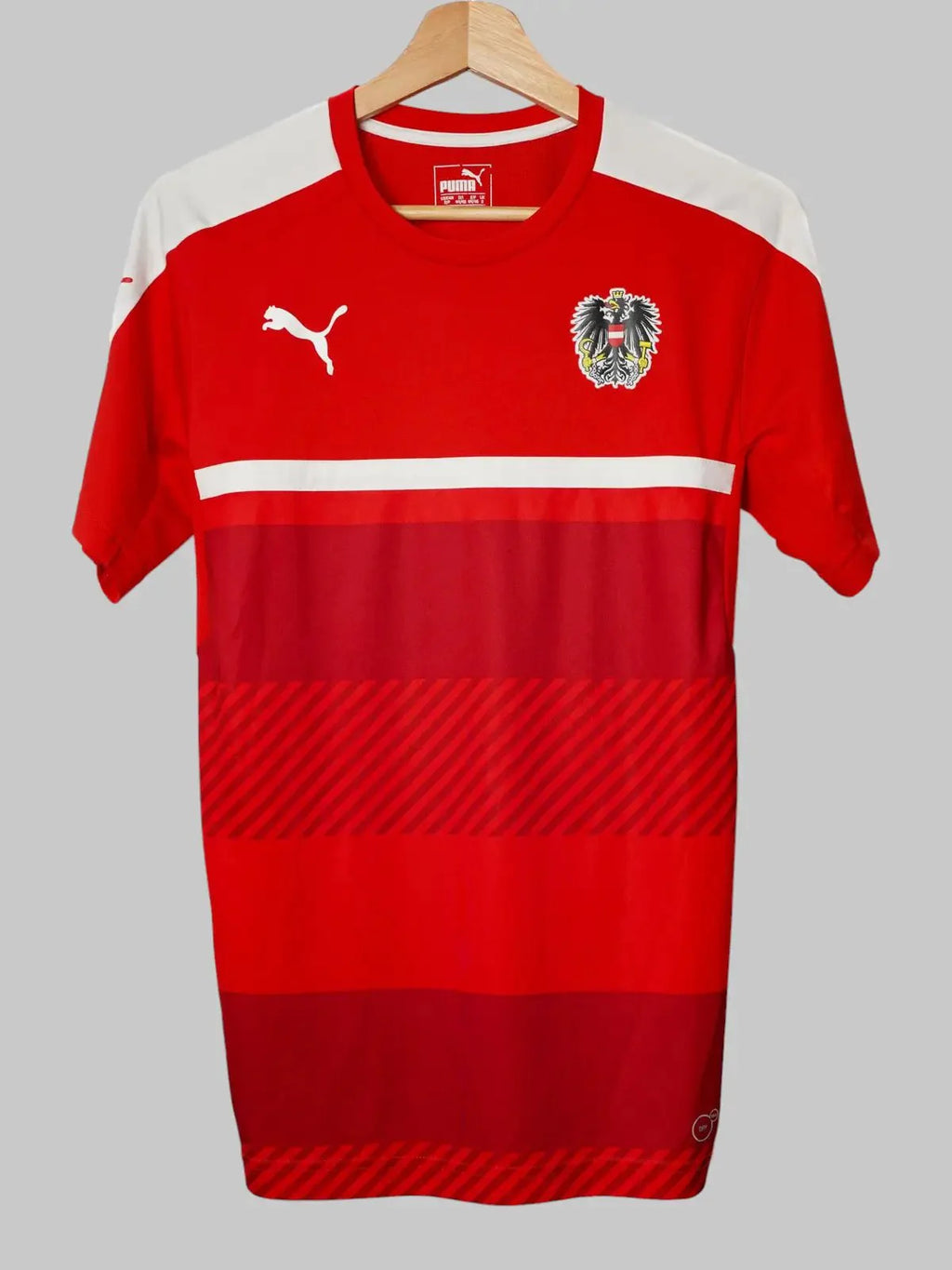 Austria Training Shirt 2016/17 (S)